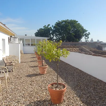 Hotel Maciá Alfaros 4*